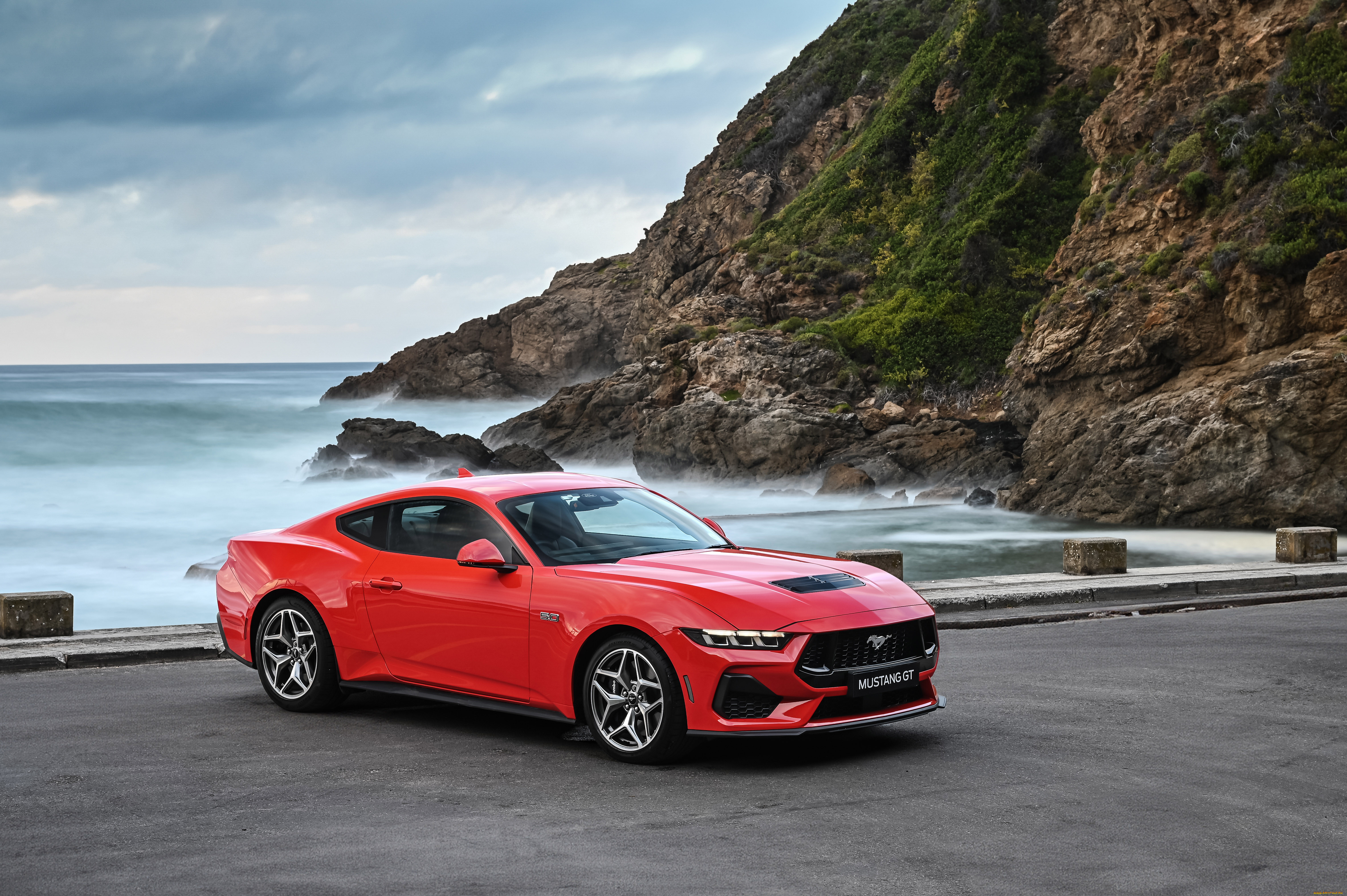 , mustang
